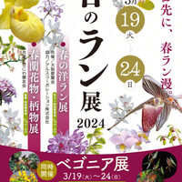 春の洋ラン展とベゴニア展　(咲くやこの花館)　と　根茎ベゴニア展（兵庫県立フラワーセンター）