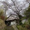 ポンプ小屋もまもなく満開🌸