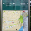 府中市郷土の森公園で、あじさいまつり