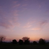 3月24日の夕陽雲＆今日の独り言