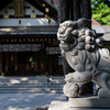 道の駅の向こう側 #8｜夏越の祓、新琴似神社で夏がはじまる日