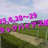 2025,6,28～29 トラックバイアス結果 (福島競馬場　小倉競馬場　函館競馬場)