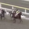 【びっくり競馬】レース途中で走ることをやめた馬が再び走り悠々勝利してしまう！