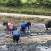 雨が降る前に一仕事！