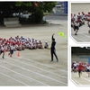今日は５年生の運動会練習の様子をお伝えします