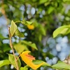 ９月３０日