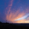 浜ちゃん日記　　梅雨の合間、天気の良い日は朝夕天空を眺める楽しい時間がやってきます