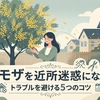 ミモザを植えると近所迷惑になる？トラブルを避ける5つのコツ