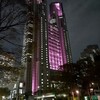 桃色に輝くトキ