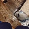 正しい情報なのか、わからん世界