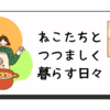 クモの巣をまるで綿あめのように食べる猫