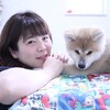 秋田犬 もこちゃん♪ ありがとうございます♪