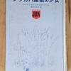 ジュニア・ベスト・ノベルズ 13　シラカバ屋敷の少女　ルーシー・モウド・モンゴメリー／作　岩崎書店