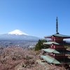 桜見物に新倉山浅間公園&周辺