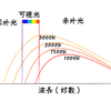 炎（６）：Mgの白色光？