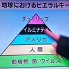 じじぃの「植物に学ぶ生存戦略・チューリップは球根を植えるが、タネはあるのか？世にも驚異な植物たち」