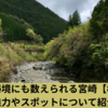 秘境の自然を満喫！宮崎県椎葉村の魅力とスポット