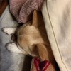 支えてくれる人