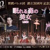 【公演情報】野間バレエ団創立30周年記念公演