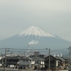 富士山・桜・菜の花！春いっぱいの御殿場線途中下車の旅