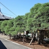 称念寺