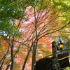 見落とし八景「月待の滝」