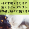 犬をお迎えするとき揃える最低限のグッズリスト