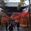 京都の定番紅葉　南禅寺と永観堂