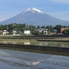 今朝の富士山(20230509)