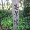 入間市博物館_2_茶花の小径(埼玉県入間市)