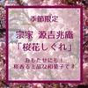 【高評価】宗家 源吉兆庵「桜花しぐれ」　春イチオシの和菓子です！