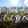 【ガーデニング】100均のバジルを種から育成！そしてジェノベーゼパスタの調理方法！