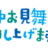 ８月定休日と夏季休暇のお知らせ♪