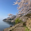 花紀行ride－花立峠（63.2km）淡墨桜（82.8km）琵琶湖往復（78.5km）、吉川宏志氏歌集「叡電のほとり」読了