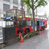 Sky Bus Tokyoに雨の中乗ってきました