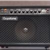 発掘！Guyatone Zip355 あんど VG-99生産完了？