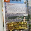 ６年生：社会　歴史学習スタート！