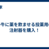 子牛に薬を飲ませる投薬用の注射器を購入！