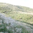 うしとら旅巡り