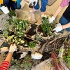  【みつば工房】福岡市植物園　ボランティア