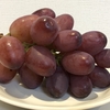 新種ぶどう「クイーンルージュ®」を食す！