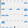 12月の頭痛記録と今年の目標