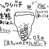 トイレ掃除したら神様じゃなくて蜂出てきた。〜トックリバチの生態〜