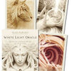 Rapidshare download chess books White Light Oracle: Enter the Luminous Heart of the Sacred 9780738765211 CHM MOBI PDB (English literature) by Alana Fairchild, A. Andrew Gonzalez