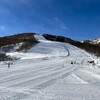 【速報】新潟スキー場で24歳女性死亡 パウダースノーの危険性と命を守る対策