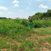 お隣の空き地ですが主人が草刈りをしてます