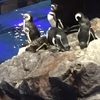 すみだ水族館②　東京スカイツリータウン