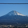 ((o(´∀｀)o))