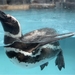 呑み鉄本線・日本旅で泣いた。〜のとじま水族館に行ったよ〜