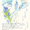 喪中の葉書制作